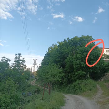 Eki aç