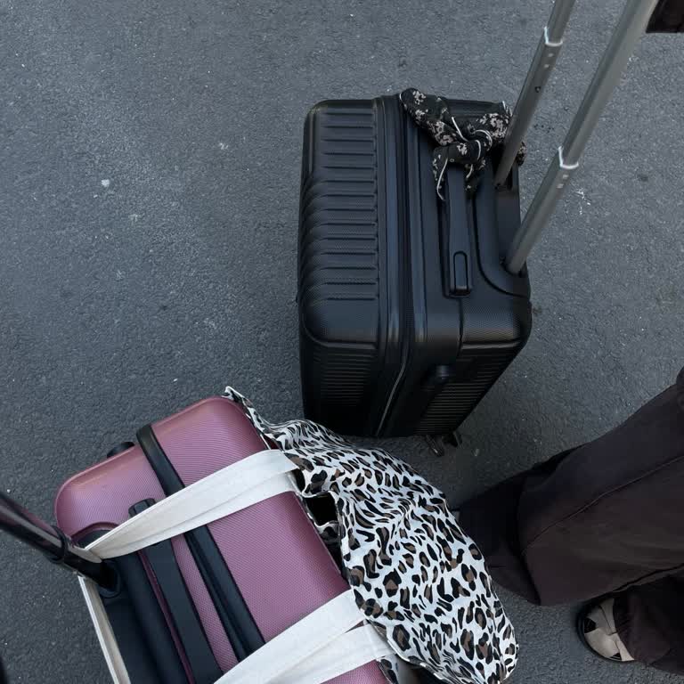 Malitur Turunda Kaybolan Valiz Ve Yetersiz Tazminat Teklifi