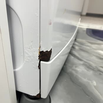 Beko Çamaşır Makinesinin Gövdesi Paslanıp Çürüdü, Garanti Süresi Dışında Çözüm Sunulmadı