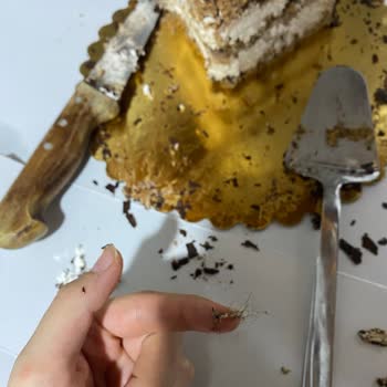Tatbak Pastasından Kıl Yumağı Çıktı Hijyen Ve Güven Sorunu