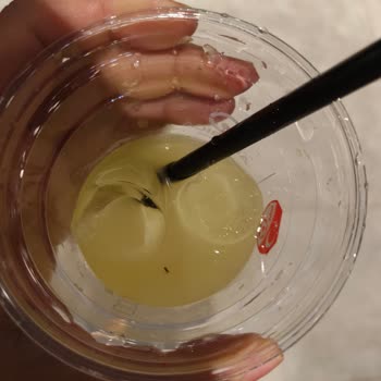 Limonatada Böcek Bulunması Ve Personelin Umursamaz Tutumu