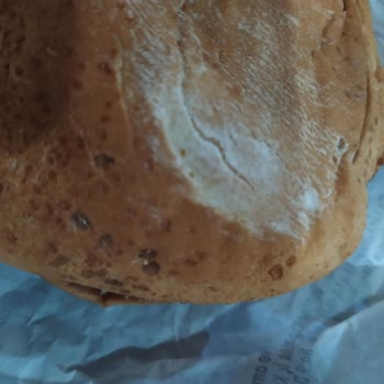 Burger King Bakırköy Şubesinde Hamburger Ekmeklerinde Küf Ve Böcek, Patates Kızartmasında Kurtlar