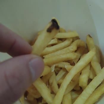 Burger King Bakırköy Şubesinde Hamburger Ekmeklerinde Küf Ve Böcek, Patates Kızartmasında Kurtlar