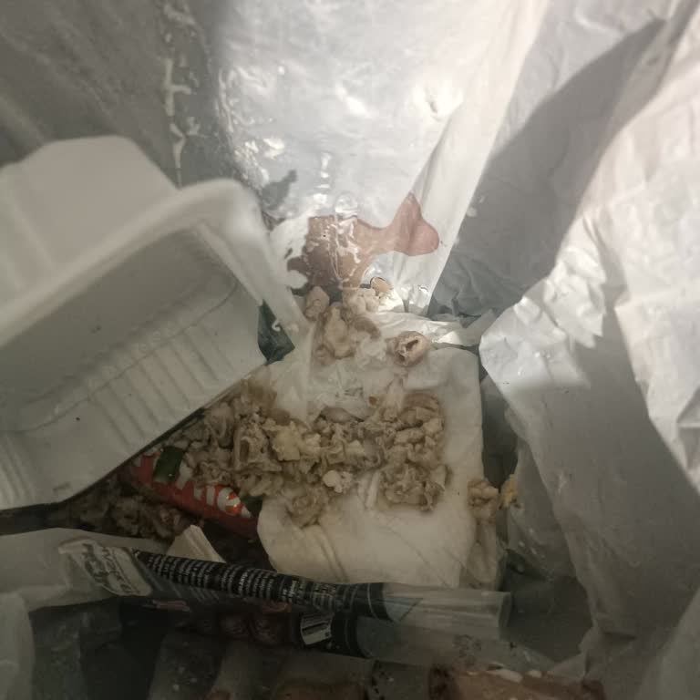 Kokoreçte Hijyen Sorunu Sağlık Tehlikesi Yaratıyor