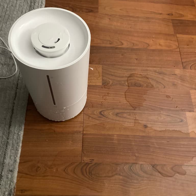 Xiaomi Smart Nemlendiricinin Sürekli Su Sızdırması Ve Ücretsiz Değişim Talebi