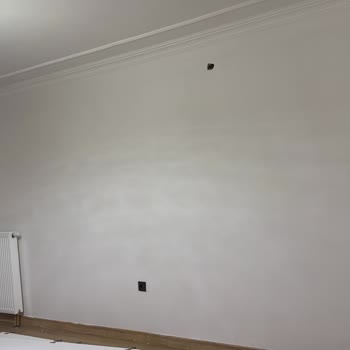 İade Talebi: Fiilli Boya Momento Silan Boyasında Kötü Kaplama Ve Dalgalı Görünüm