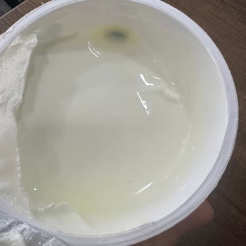 Sek Quark Ürününün Küflenmesi Ve Soğuk Zincir İhlali