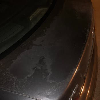 Toyota Bayilerinde Güneş Yanıkları Ve Yağ Eksiltme Sorunlarına Yetersiz İlgi