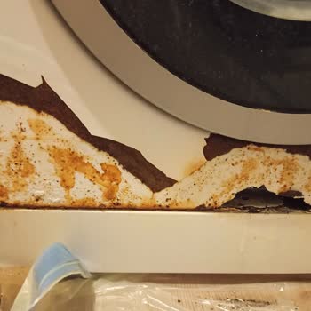 Arçelik Çamaşır Makinemde Hızlı Değişim Talebi: Paslanma Ve Güvenlik Riski