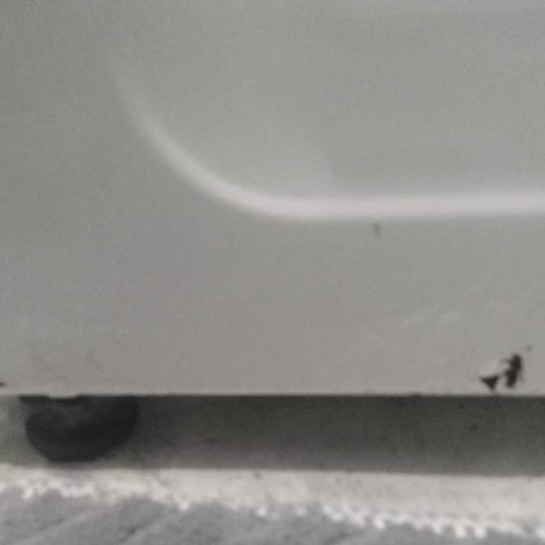 Beko Çamaşır Makinesinde Paslanma Sorunu Ve Ücretsiz Parça Değişimi Talebi