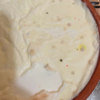 İtimat Yoğurdu Küflenmiş, Şikayetime Cevap Gelmedi