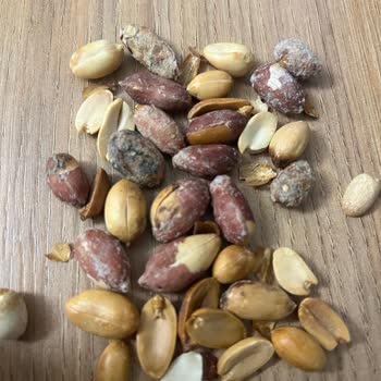 SimBAt Markalı Tuzlu Fıstıkta Küflü Ve Yanık Parçalar Bulunması Aflatoksin Riski Yaratıyor