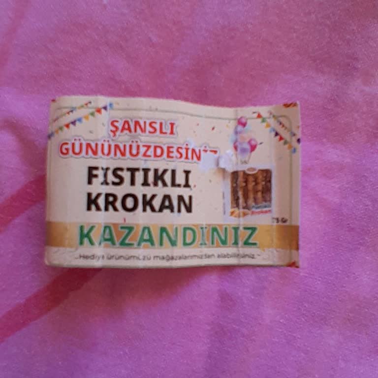 Krokan Kazandım Ama Hiç Şubede Bulamadım
