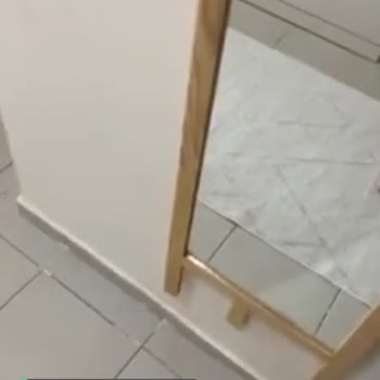 Dyson V15 Süpürge Sorunu