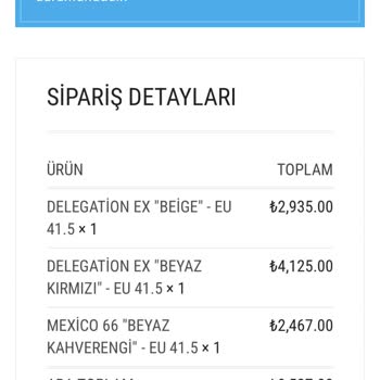 Teslim Edilmeyen Ayakkabılar Ve Cevapsız İletişim Nedeniyle 5.500 TL İade Talebi