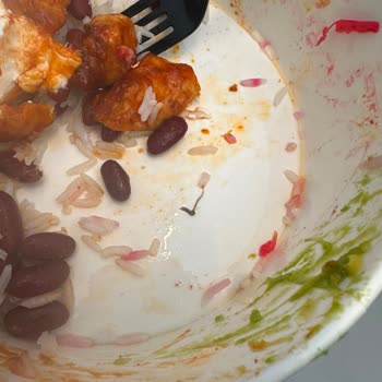 Ölü Sivrisinek Tespit Edilen Bowl Ve Sipariş Durumu Hatası