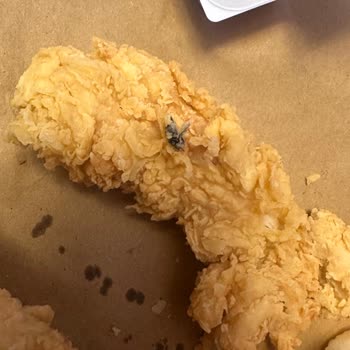 Popeyes Şubesinde Tavukta Sinek Bulunması Hijyen İhlali Ve Denetim Talebi