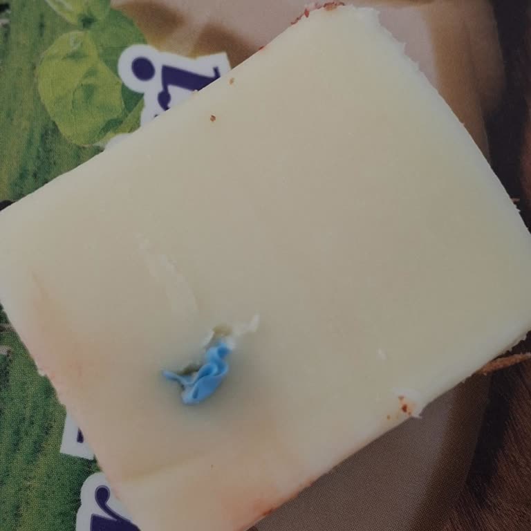 Altın Kılıç Kaşarda Plastik Parça Ve Migros’tan Cevapsızlık