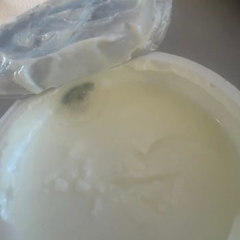 Küflenmiş Ve Kötü Tadındaki Sek Quark Ürünü
