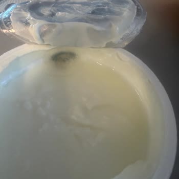 Küflenmiş Ve Kötü Tadındaki Sek Quark Ürünü