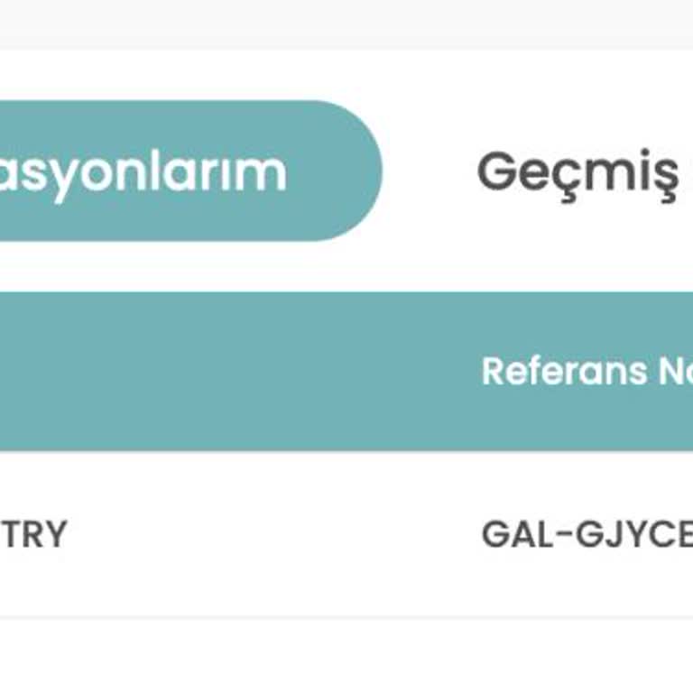 Gezkanatlan Bagaj Hakkı Belirsizliği Ve Saygısız Temsilci Tutumu