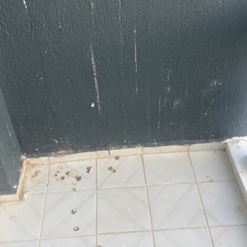 Agoda.com Hijyen Ve Güvenlik Sorunları Nedeniyle Otelde Kalınamadı İade Talebi