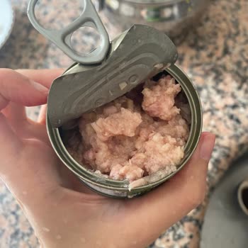 Superfresh Zeytinyağlı Ton Balığında Bozulmuş Tat Ve Kalite Şikayeti