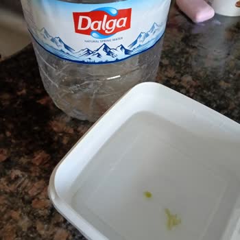 Dalga Şişe Suyunda Yosun Görüldü Sağlık Endişesi