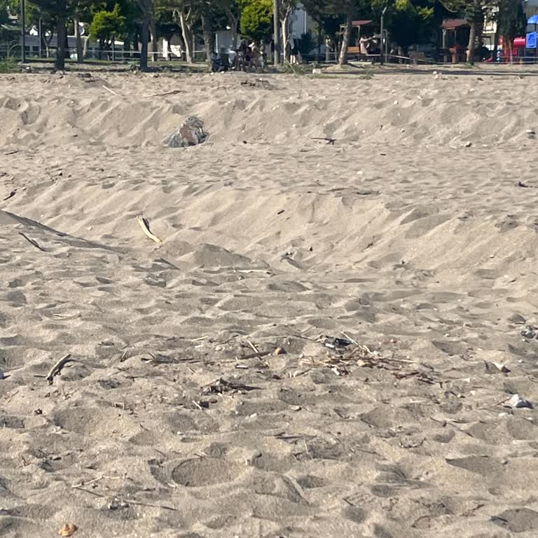 İskele Sahilinde Çöp Sorunu Çözülmüyor