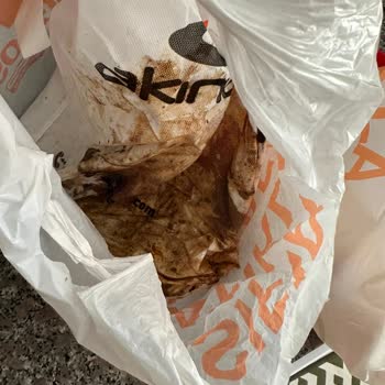 Aras Kargo’da Teslimat Gecikmesi Ve Bozulmuş Ürünler Mağduriyeti