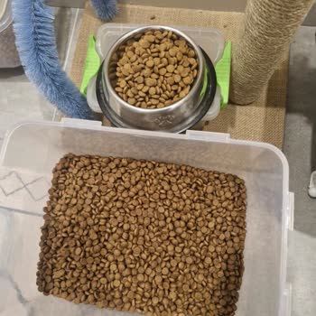 Sipariş Edilen Royal Canin Mama Yanlış Ürün Olarak Gönderildi