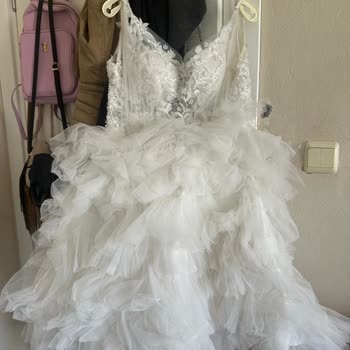 Alya Wedding Hiçbir Şekilde Yardımcı Olmuyorlar