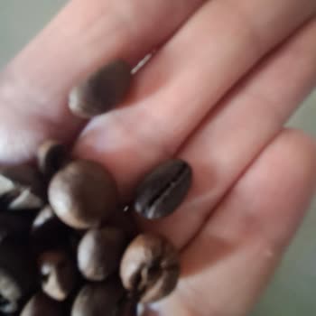 Yanık Kahve Çekirdeği Sağlık Sorunu Yaratıyor, Ürün Değişimi Ve İade Talebi