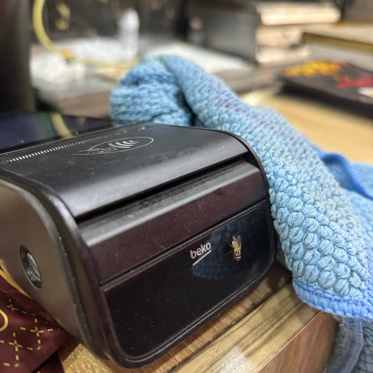 Artuklu’da Sivrisinek Sorunu İçin Acil İlaçlama Talebi