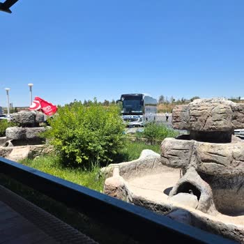 Biletime Rağmen Yanlış Otobüse Binmek Zorunda Kaldım
