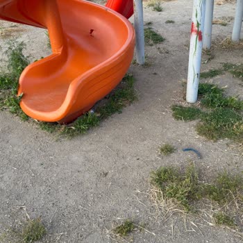 Emek Mahallesi Çocuk Parkı Güvenlik Ve Hijyen Sorunları İçin Acil Yenileme Talebi