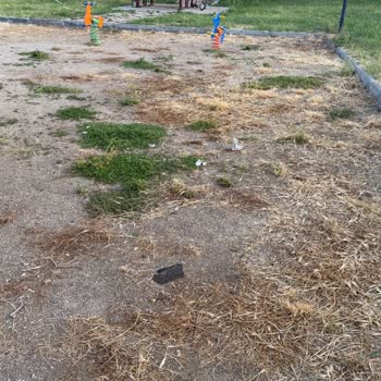 Emek Mahallesi Çocuk Parkı Güvenlik Ve Hijyen Sorunları İçin Acil Yenileme Talebi