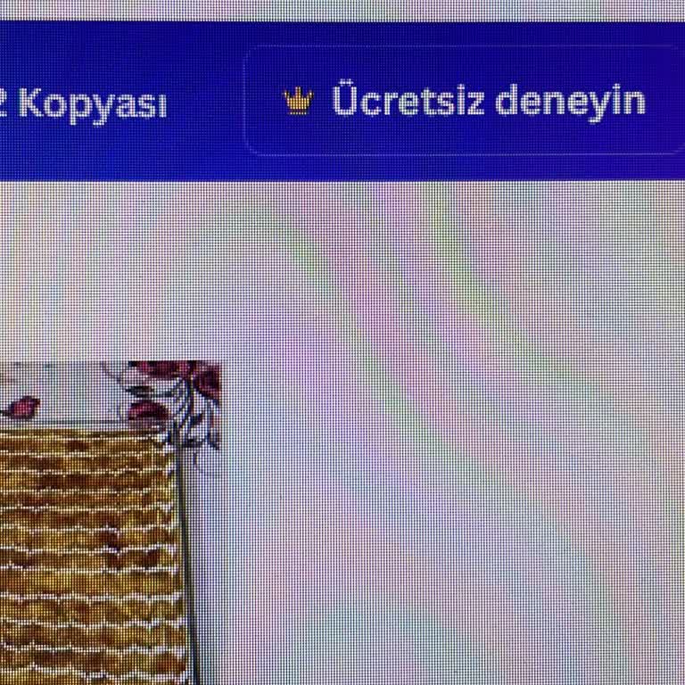 Echoshop Yanıltıcı Sınırsız Canva Pro Satışı Ve Trendyol Destek Eksikliği