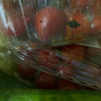 Şok Market'ten Çürük Sebzeler Ve Cevapsız İade Süreci