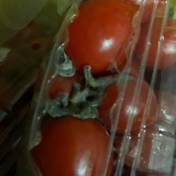 Şok Market'ten Çürük Sebzeler Ve Cevapsız İade Süreci
