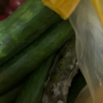 Şok Market'ten Çürük Sebzeler Ve Cevapsız İade Süreci