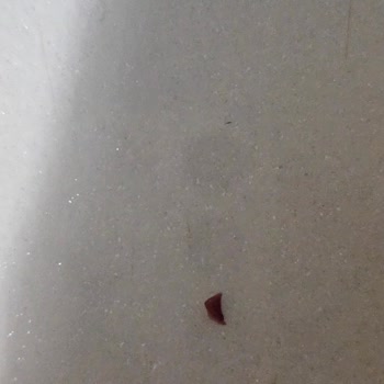 Harras Vişneli Sorbe Ürünün İçinde Sert Taş Parçası