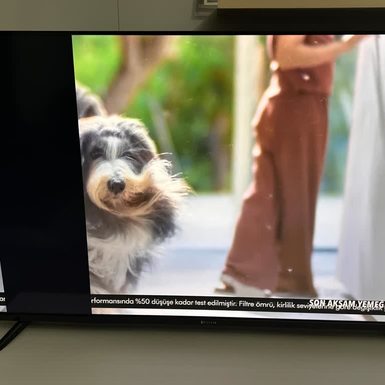 Dijitsu 55DG22000 Televizyonda Siyah Şerit Sorunu Ve Servis Desteği Yok