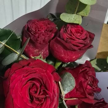Kalitesiz Çiçekler Zorla Kabul Ettirildi Ve İptal Reddi