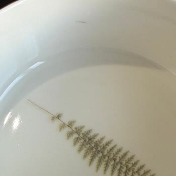 Botanical Yemek Takımındaki Çoklu Kusurlar Ve Tam İade Talebi