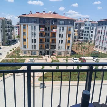 Komşunun Evcil Hayvanını Ortak Alanda Gezdirmeye Devam Etmesi Ve Site Yönetiminin Çözüm Bulamaması