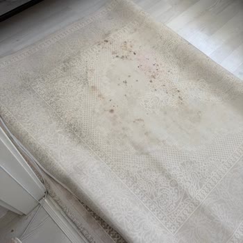 Küflenen Halı Nedeniyle Aslan Halı Yıkama’dan Tazminat Talebi