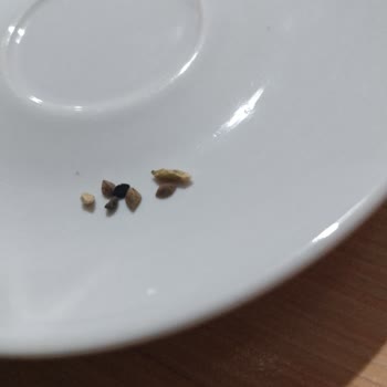 Yemde Taş Parçaları Tespiti