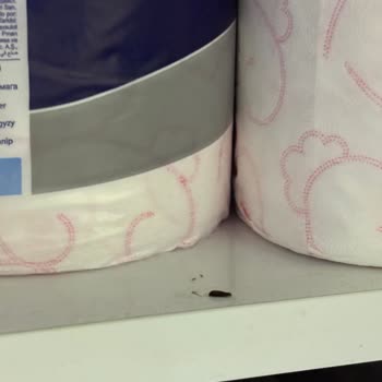 Selpak Extra Banyo Kağıdında Solucan Ve Kelebek İstilası Hijyen Sorunu