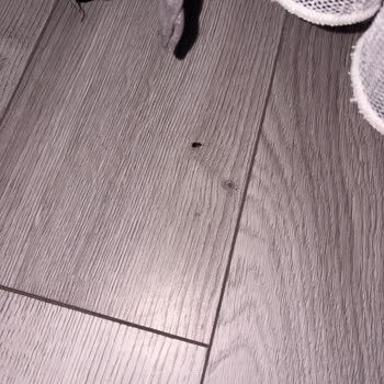 Hamam Böcekleri Ve Arızalı Oda Sorunları Nedeniyle Oda Değişikliği Ve Ücret İadesi Talebi